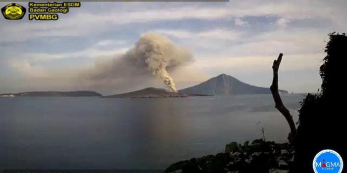 Gunung Anak Krakatau Meletus, Semburkan Abu Vulkanik hingga 200 Meter