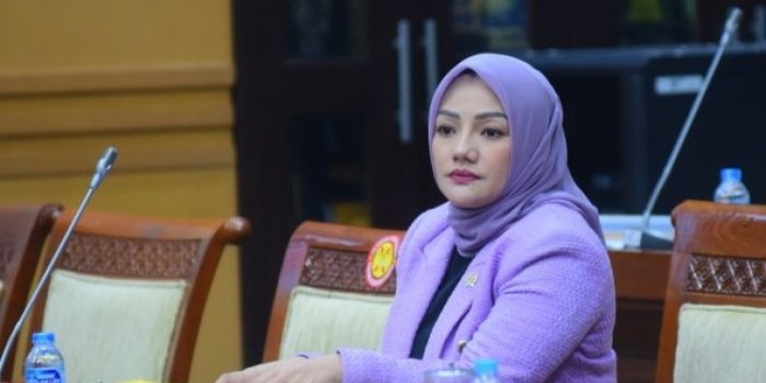 Anggota DPR RI Adde Rosi Perihatin Atas Kasus Pemerkosaan Gadis Disabilitas di Pandeglang