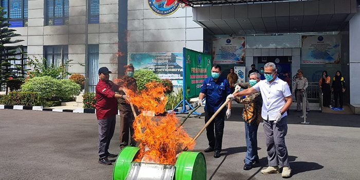 BNN Banten Musnahkan Ganja 5,3 Kg Milik Mahasiswa di Tangsel