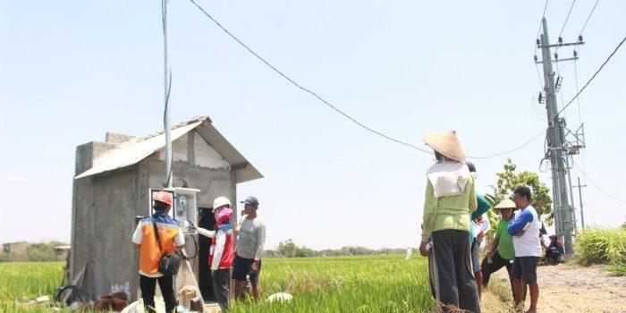 Pertanian Modern Berbasis Listrik Kian Berkembang, Program Electrifying Agriculture PLN Tumbuh 22,28 Persen