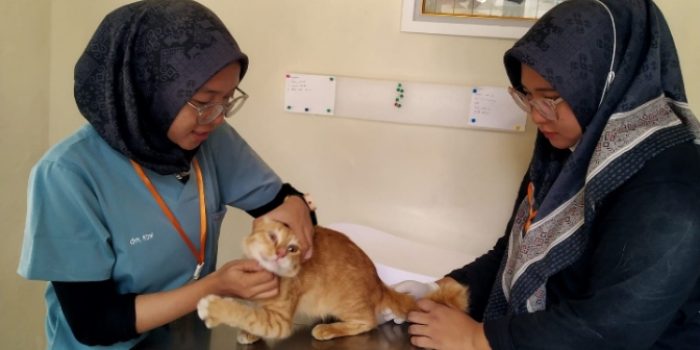 Layanan Call Center Puskeswan Pandeglang Tetap Aktif di Libur Lebaran