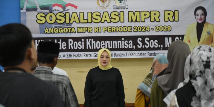 Adde Rosi Tekankan Peran Partai Politik dalam Memperkuat Persatuan Bangsa