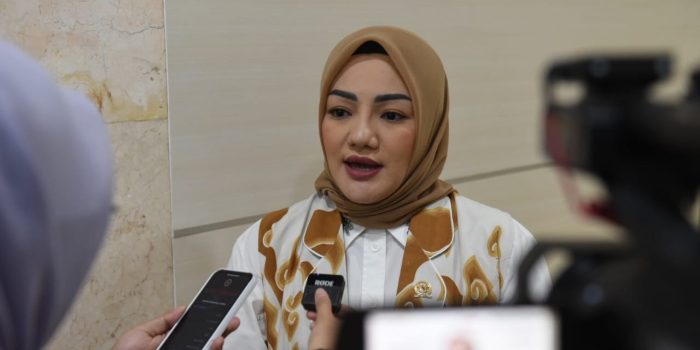 Dukung Menteri ESDM, Adde Rosi: IUP di Raja Ampat Dicabut demi Kelestarian Alam