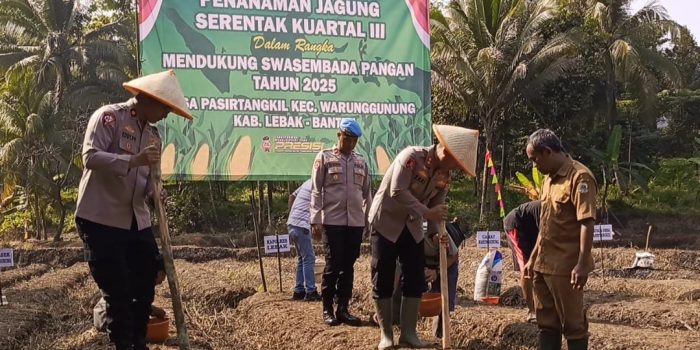 Dukung Swasembada Pangan, Kapolres Lebak Tanam Jagung di Desa Pasirtangkil