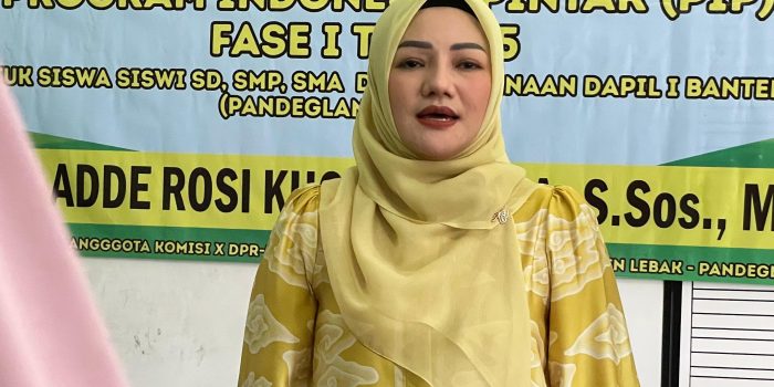 Adde Rosi Ajak Generasi Muda Melek Konstitusi Melalui Sosialisasi Empat Pilar MPR RI di Karang Tanjung