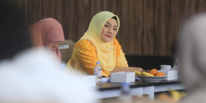 Komisi X DPR RI Adde Rosi Dorong Perpusda Kota Serang Jadi Pusat Tolak Ukur Budaya Literasi