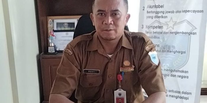 Aplikasi BADARA Sebagai Upaya DPKPP Pandeglang Menyimpan Data Secara Akurat