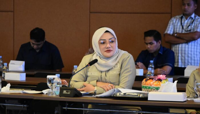 Adde Rosi Tekankan Sinergi Pendidikan dan Industri Tekan Pengangguran Banten