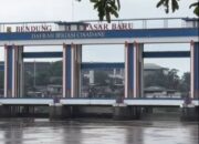 Sungai Cisadane Tercemar, Air PAM Mati Ikan-Ikan Ikut Mati