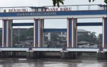 Sungai Cisadane Tercemar, Air PAM Mati Ikan-Ikan Ikut Mati