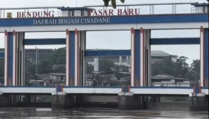 Sungai Cisadane Tercemar, Air PAM Mati Ikan-Ikan Ikut Mati