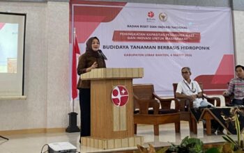 Dorong Kemandirian Pangan, Adde Rosi dan BRIN Gelar Pelatihan Hidroponik di Lebak