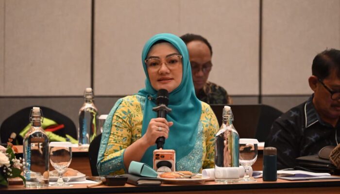 Adde Rosi Tekankan Penguatan Diplomasi Parlemen di Tengah Dampak Konflik Global