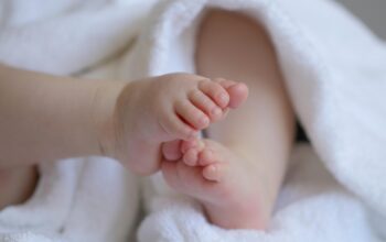 Kronologi Penculikan Bayi dari Telungagung dan Penangkapan di Pelabuhan Merak