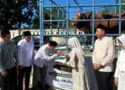 Bupati Pandeglang Serahkan Sapi Kurban Presiden Berbobot 975 Kilogram