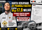 Harta Kekayaan Kadinkes Banten Ati Pramudji Hastuti Capai Rp17,8 Miliar, Disorot di Tengah Temuan BPK
