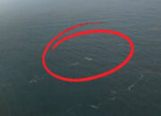 Viral Video Drone Diduga Speedboat Jurnalis yang Hilang, Basarnas Bilang Begini