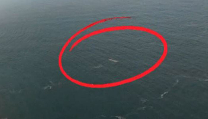 Viral Video Drone Diduga Speedboat Jurnalis yang Hilang, Basarnas Bilang Begini